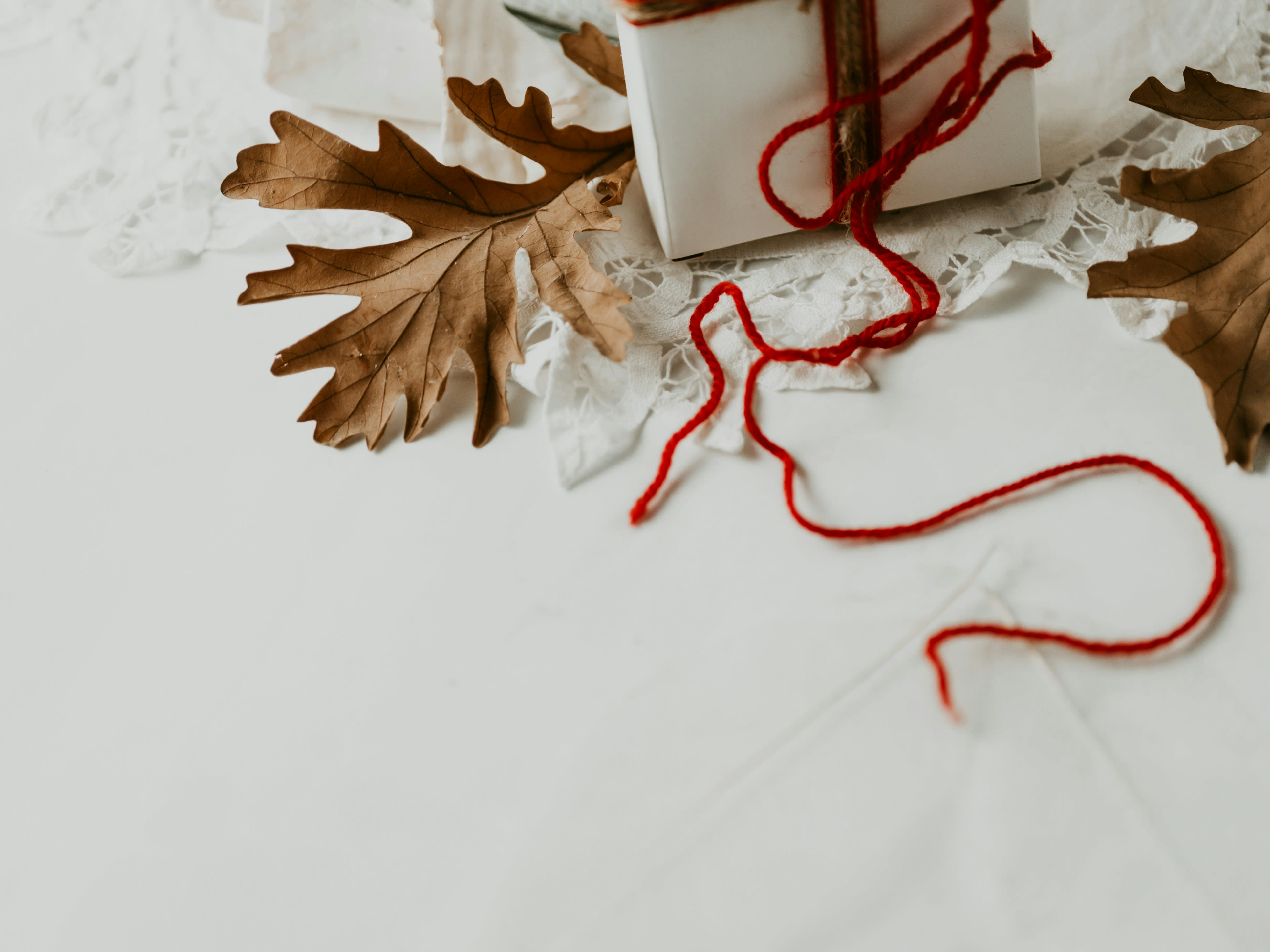 a few leaves on a white surface