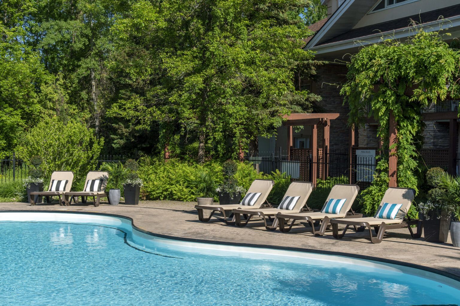 The sun is shining through the trees in the forest