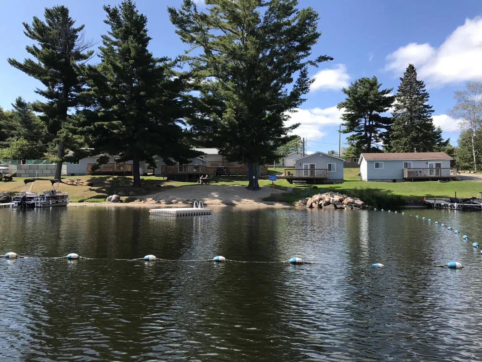 The sun is shining through the trees in the forest
