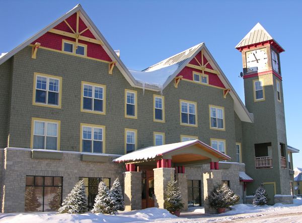 The sun is shining through the trees in the forest